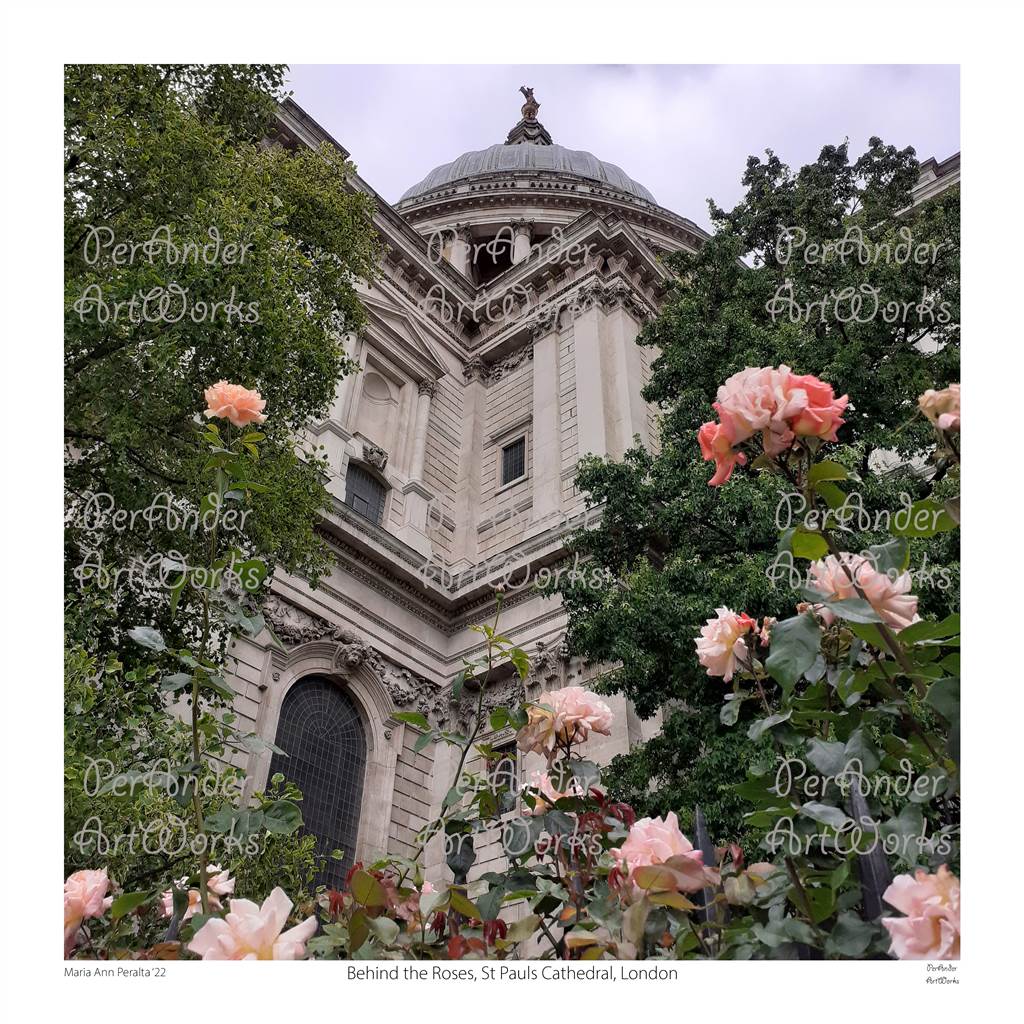 Behind the Roses, St Pauls Cathedral, London '22
