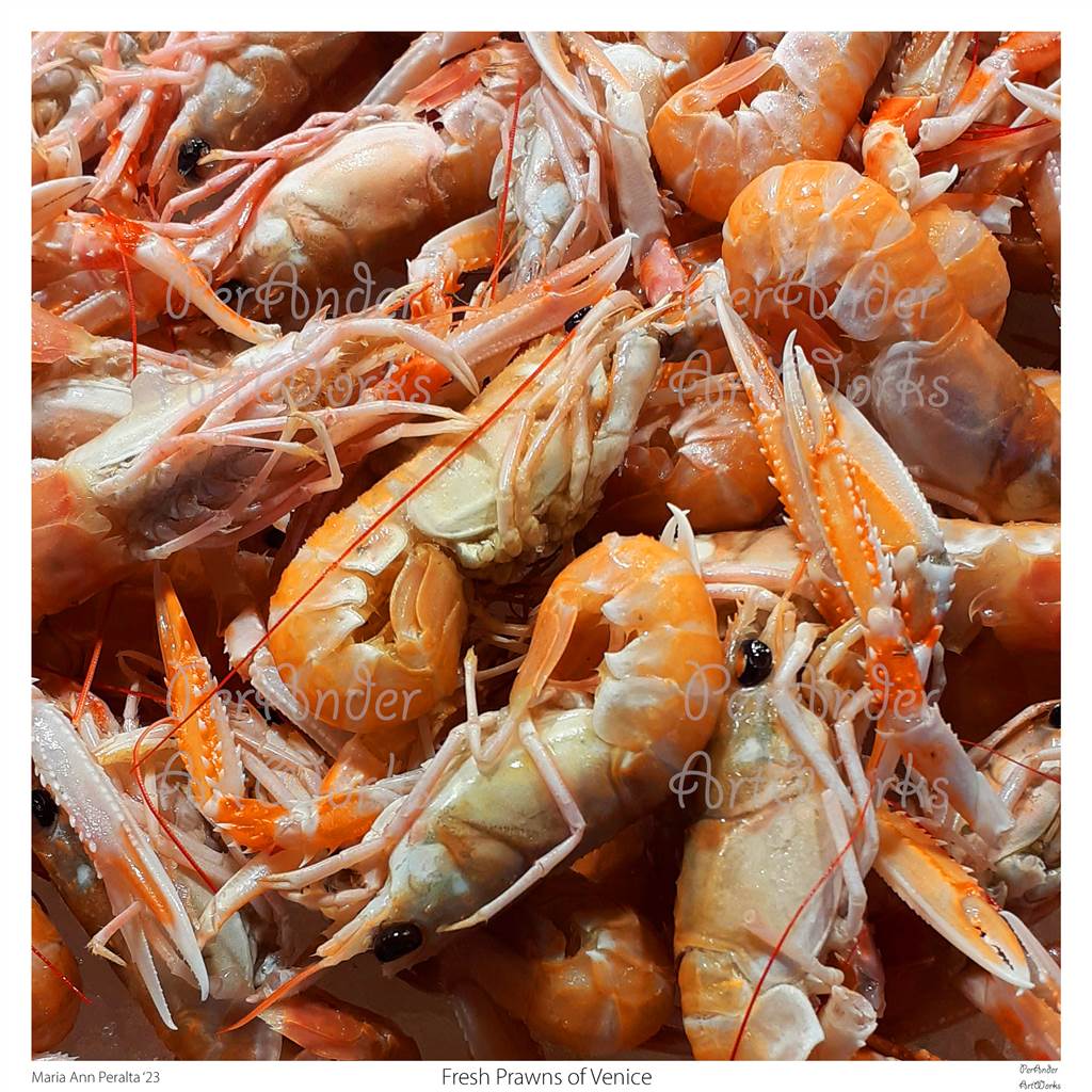 Fresh Prawns of Venice '23