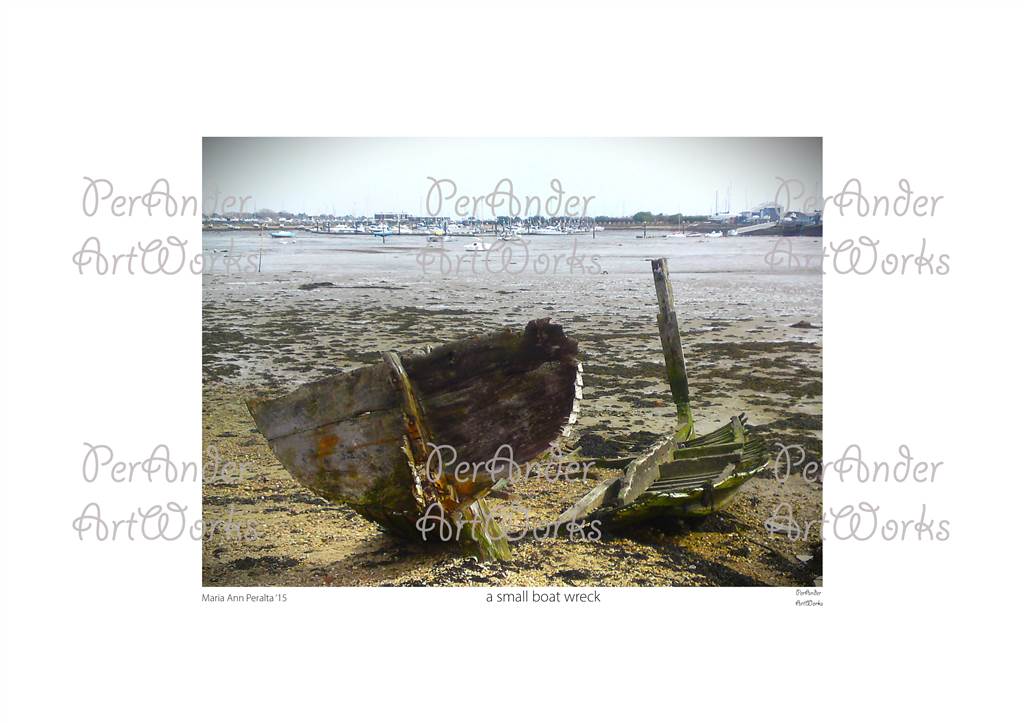 A small boat wreck '15