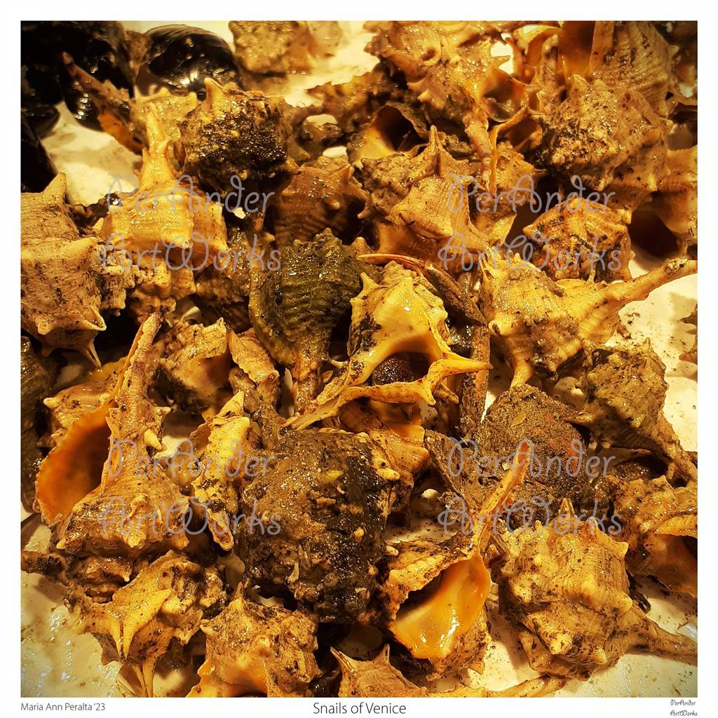 Snails of Venice '23