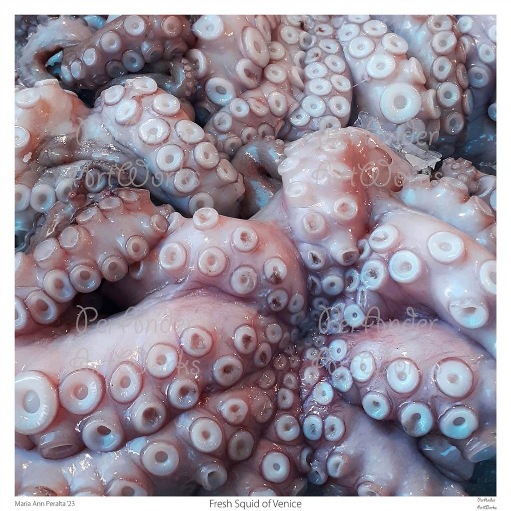 Fresh Squid of Venice '23
