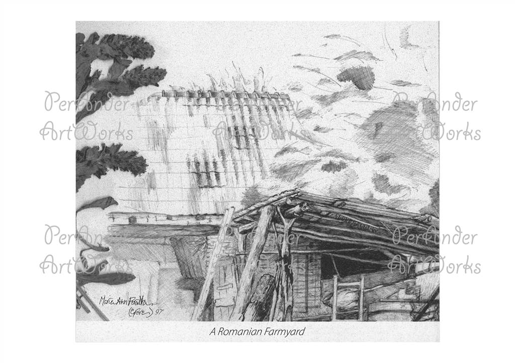 The Romanian Farmyard '97