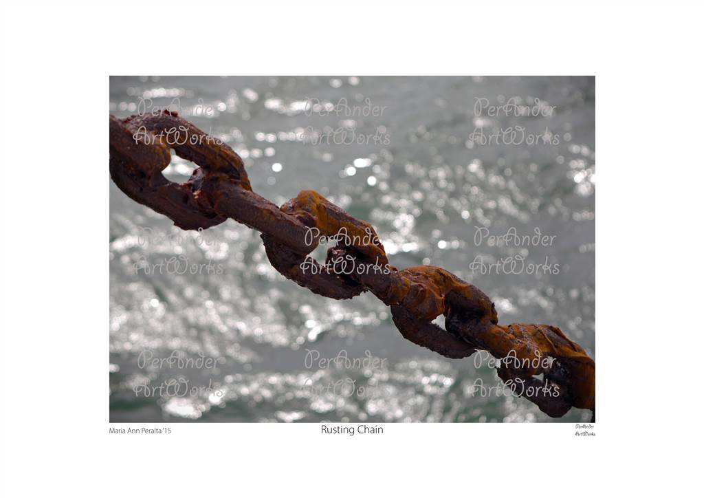 Rusting Chain '15
