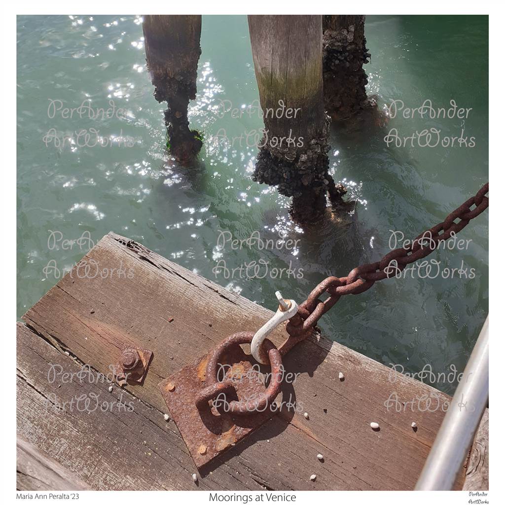 Moorings at Venice '23