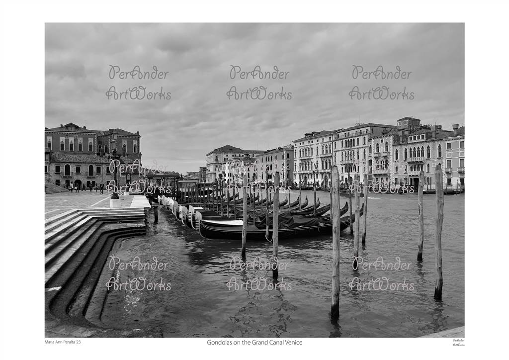 Gondolas on the Grand Canal Venice '23