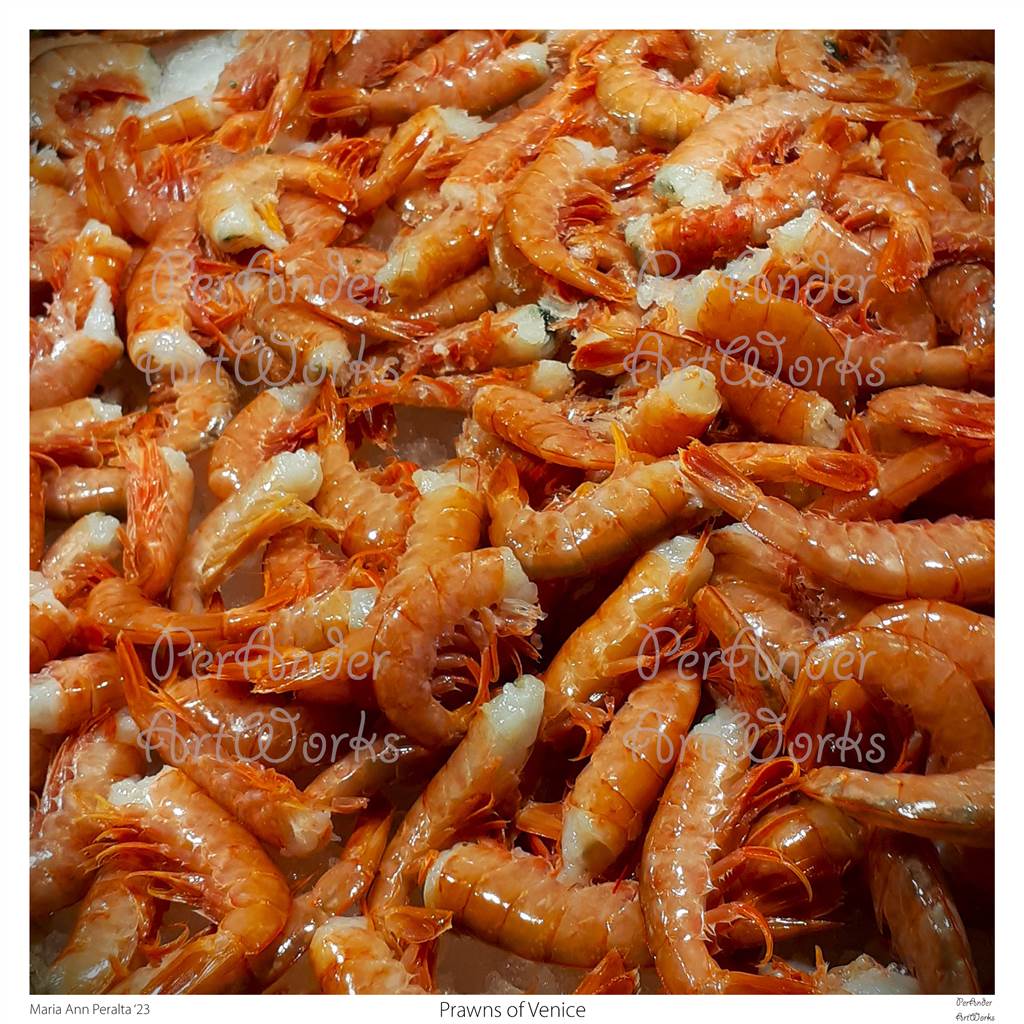 Prawns of Venice '23