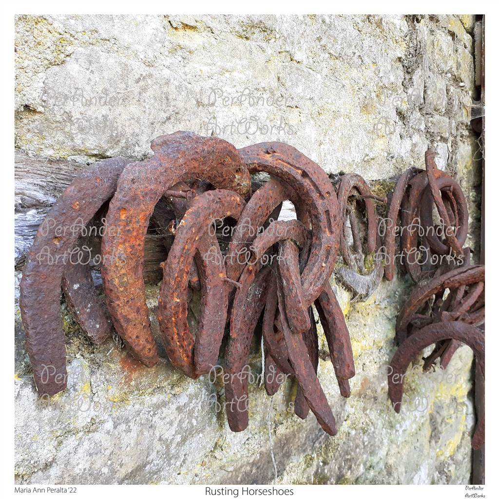 Rusting Horseshoes '22
