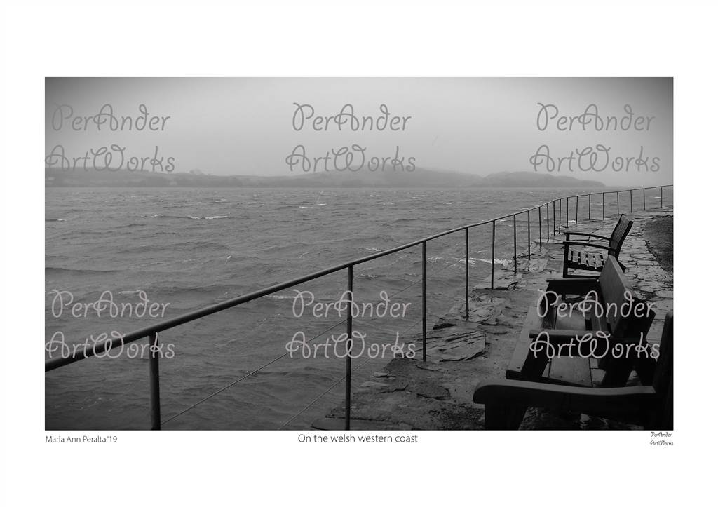 On the welsh western coast '19